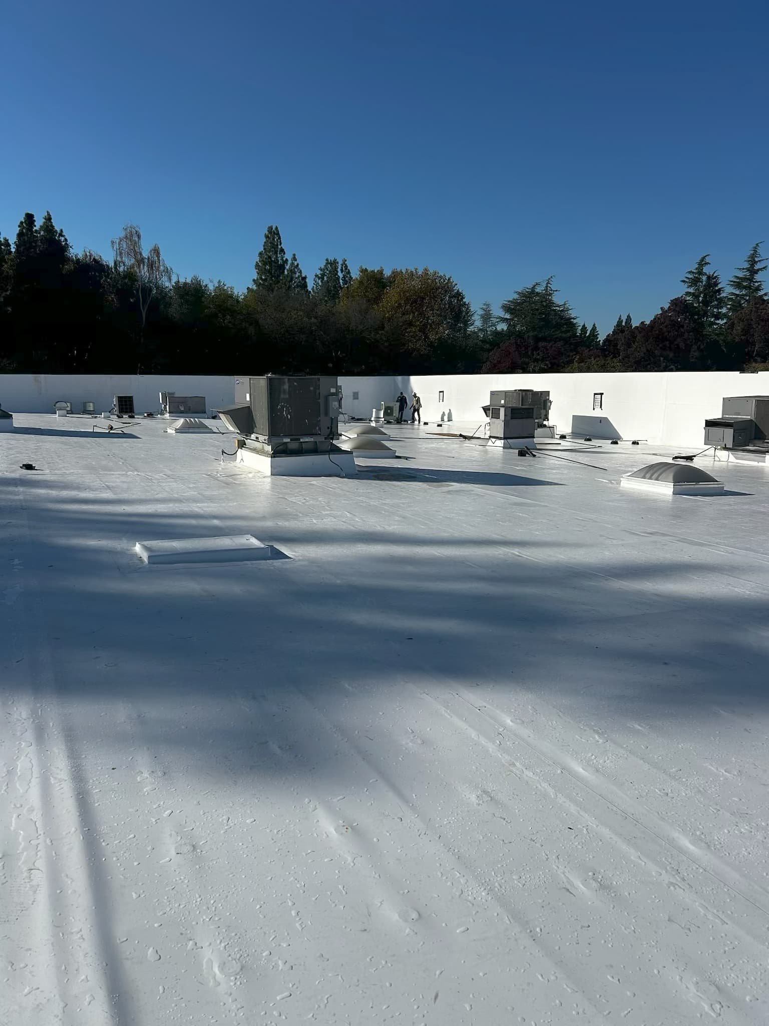 commercial roofing